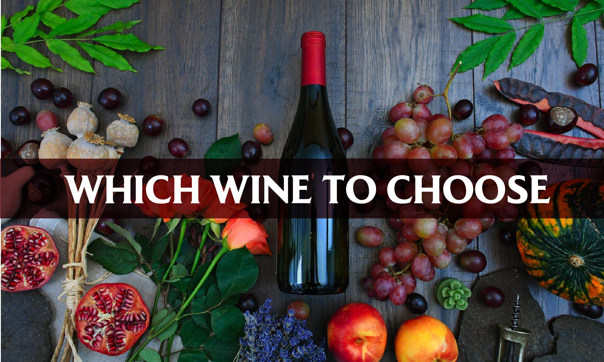 Which Wine to Choose? A Guide for Complete Beginners
