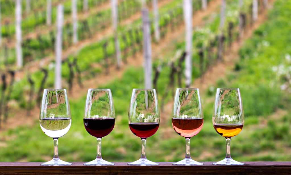 Understanding the 5 Key Characteristics of Wine