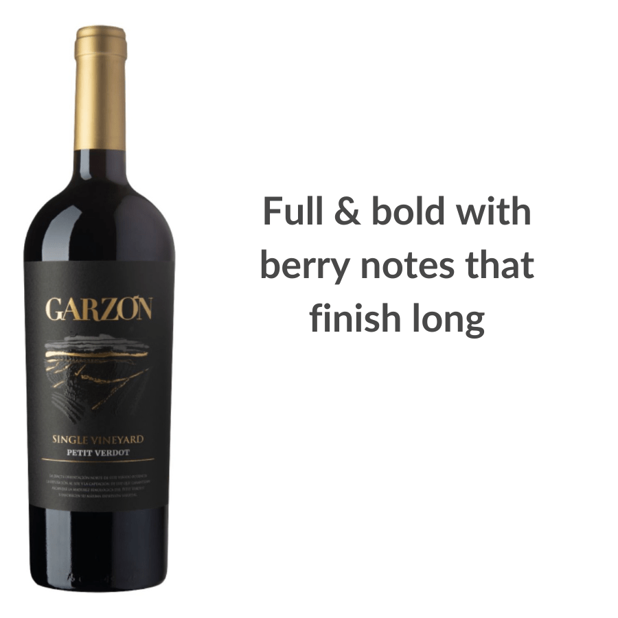 Garzon Single Vineyard Tannat 2020